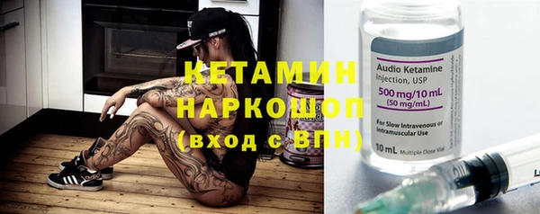 твердый Бородино