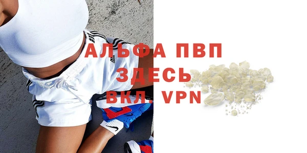 твердый Бородино