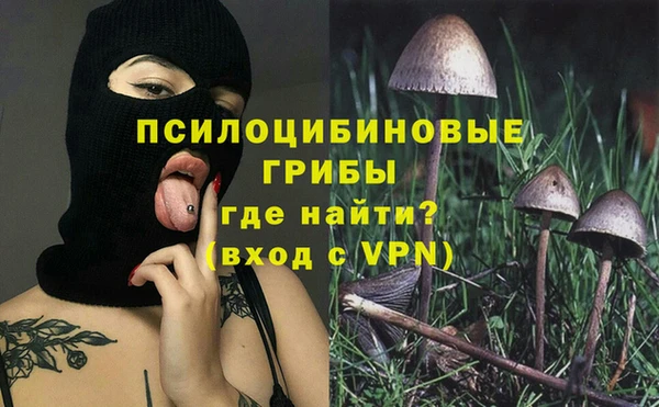 твердый Бородино