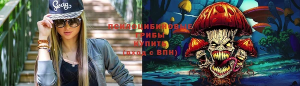 твердый Бородино