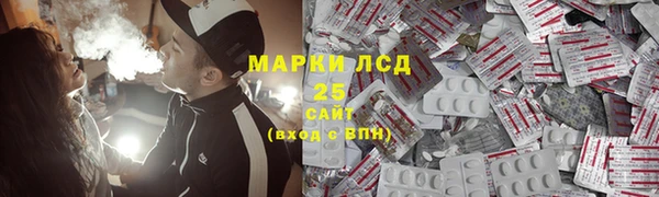 твердый Бородино