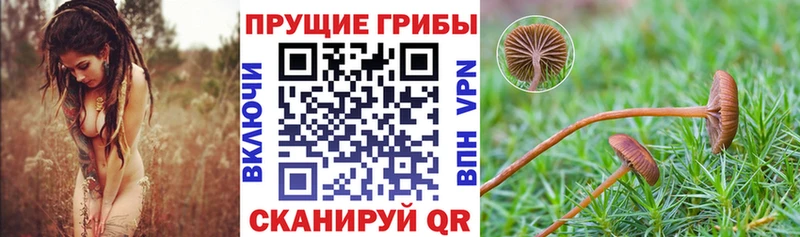 Псилоцибиновые грибы мицелий  купить   Симферополь 